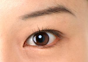 福岡市東区・千早エリアで評判の本多鍼灸整骨院なみき院の魅力と特徴 ? 快適な施術と地域密着型のサービスを提供